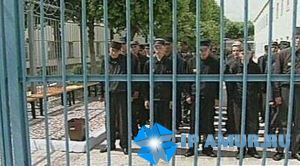 article545.jpg
