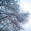 Благовещенск обсыпало снежной крупой