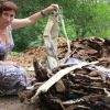Под Благовещенском неизвестные выбросили тысячи шкурок пушных зверей