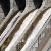 В Зейском водохранилище убывает вода, а в Бурейском — прибывает